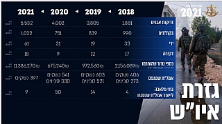 Credit photo: From the IDF's year summary data report for 2021 (Enlarge)